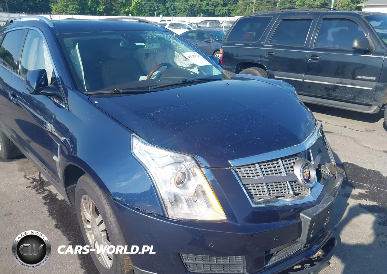 2010 Cadillac Srx Luxury Collection VIN:3GYFNDEYXAS614415 - 12