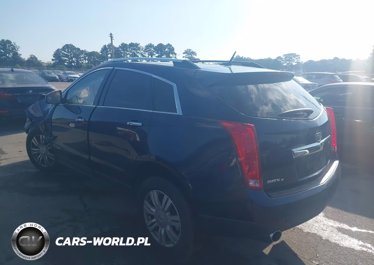 2010 Cadillac Srx Luxury Collection VIN:3GYFNDEYXAS614415 - 3