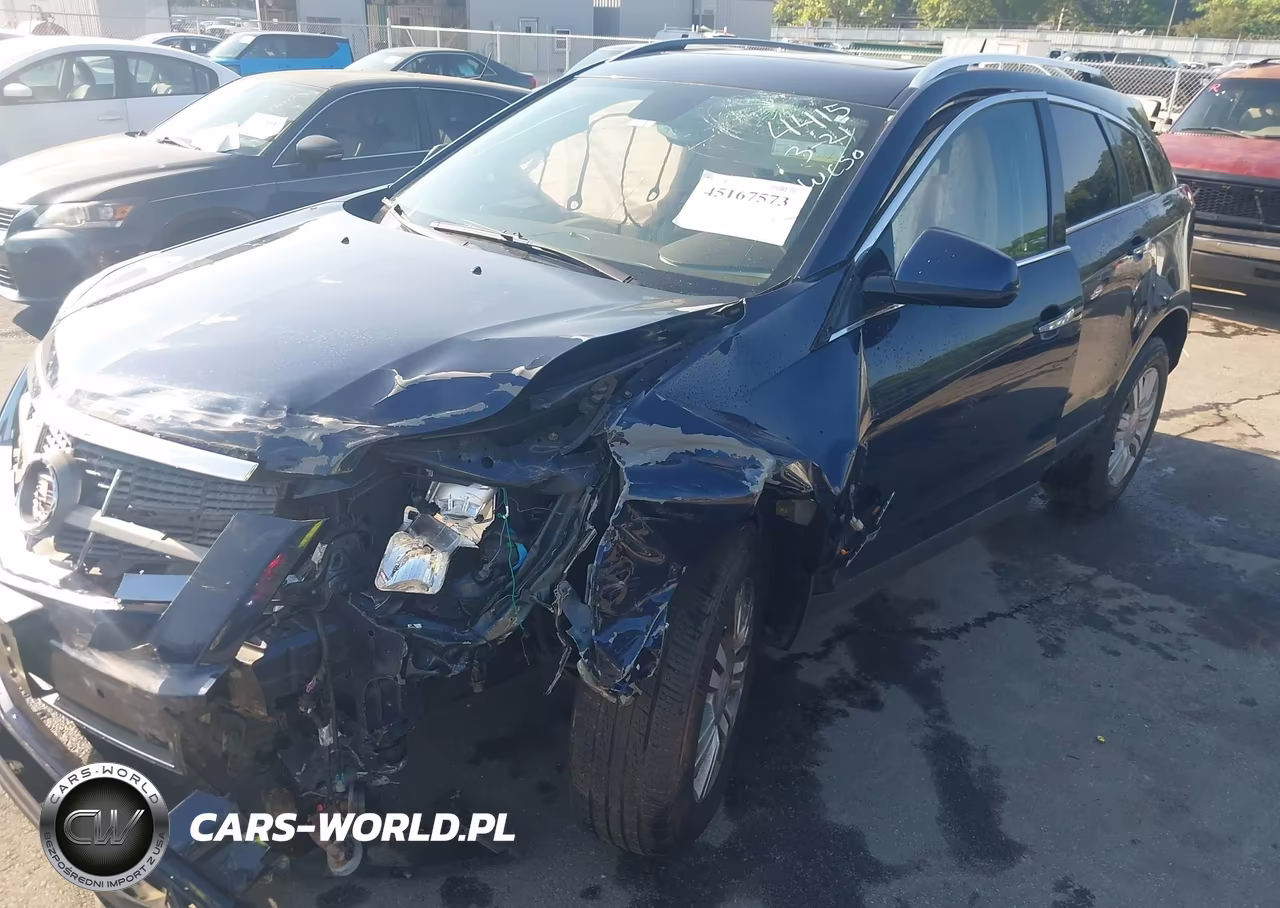 2010 Cadillac Srx Luxury Collection VIN:3GYFNDEYXAS614415 - 6