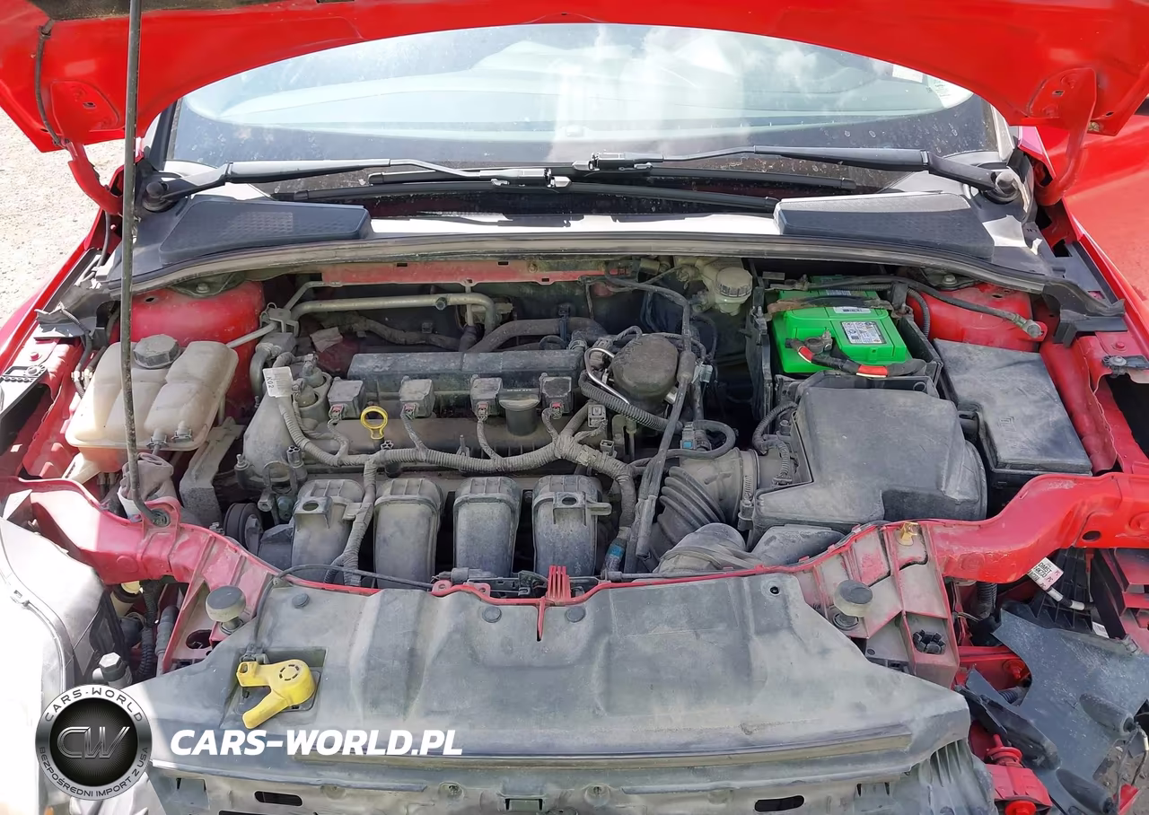 2014 Ford Focus Se VIN:1FADP3K28EL269694 - 10