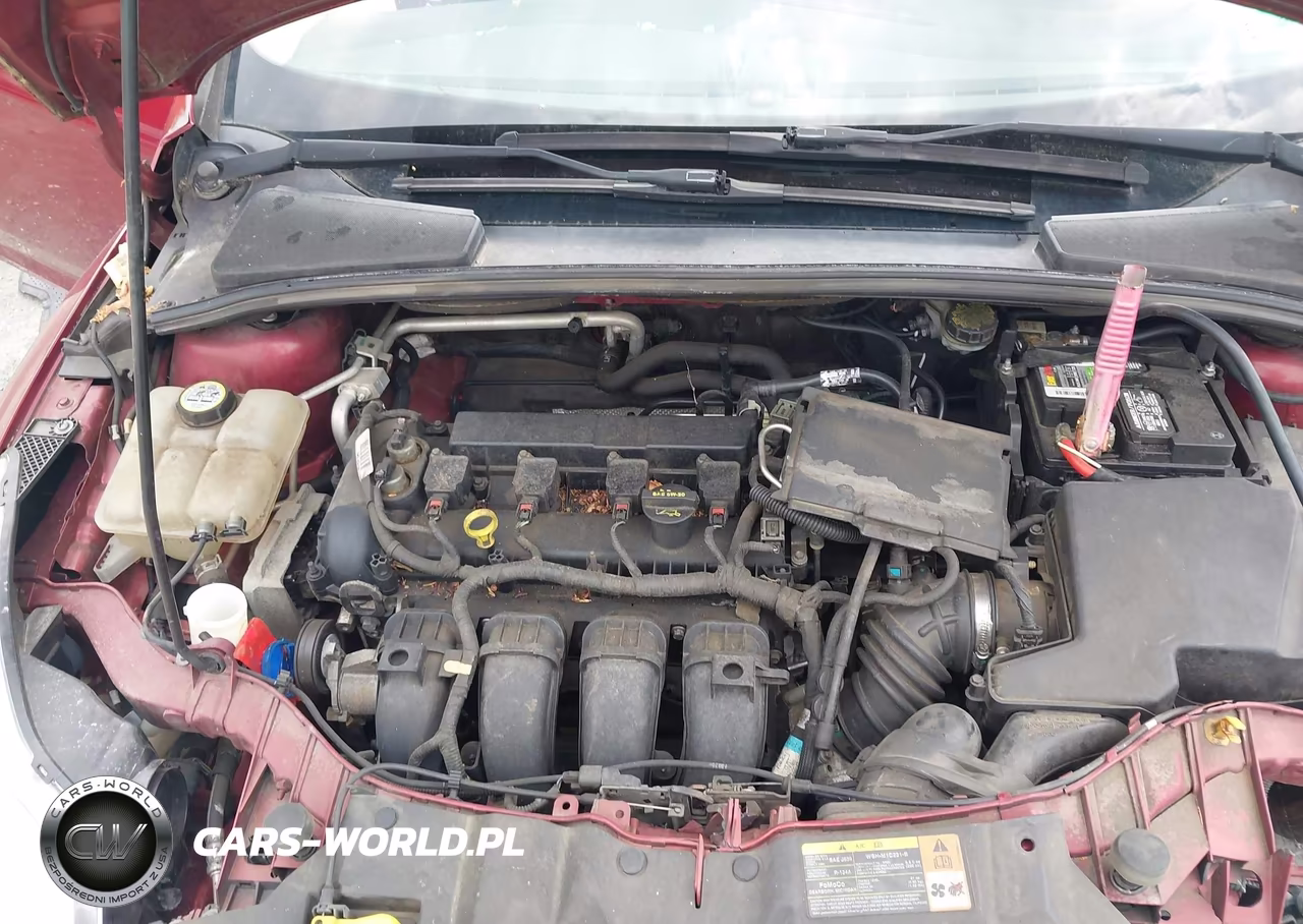 2013 Ford Focus Titanium VIN:1FADP3N27DL260530 - 10