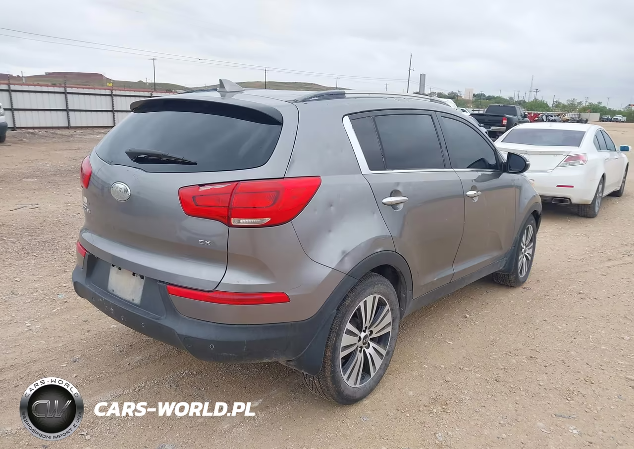 2014 Kia Sportage Ex VIN:KNDPC3AC9E7563613 - 4