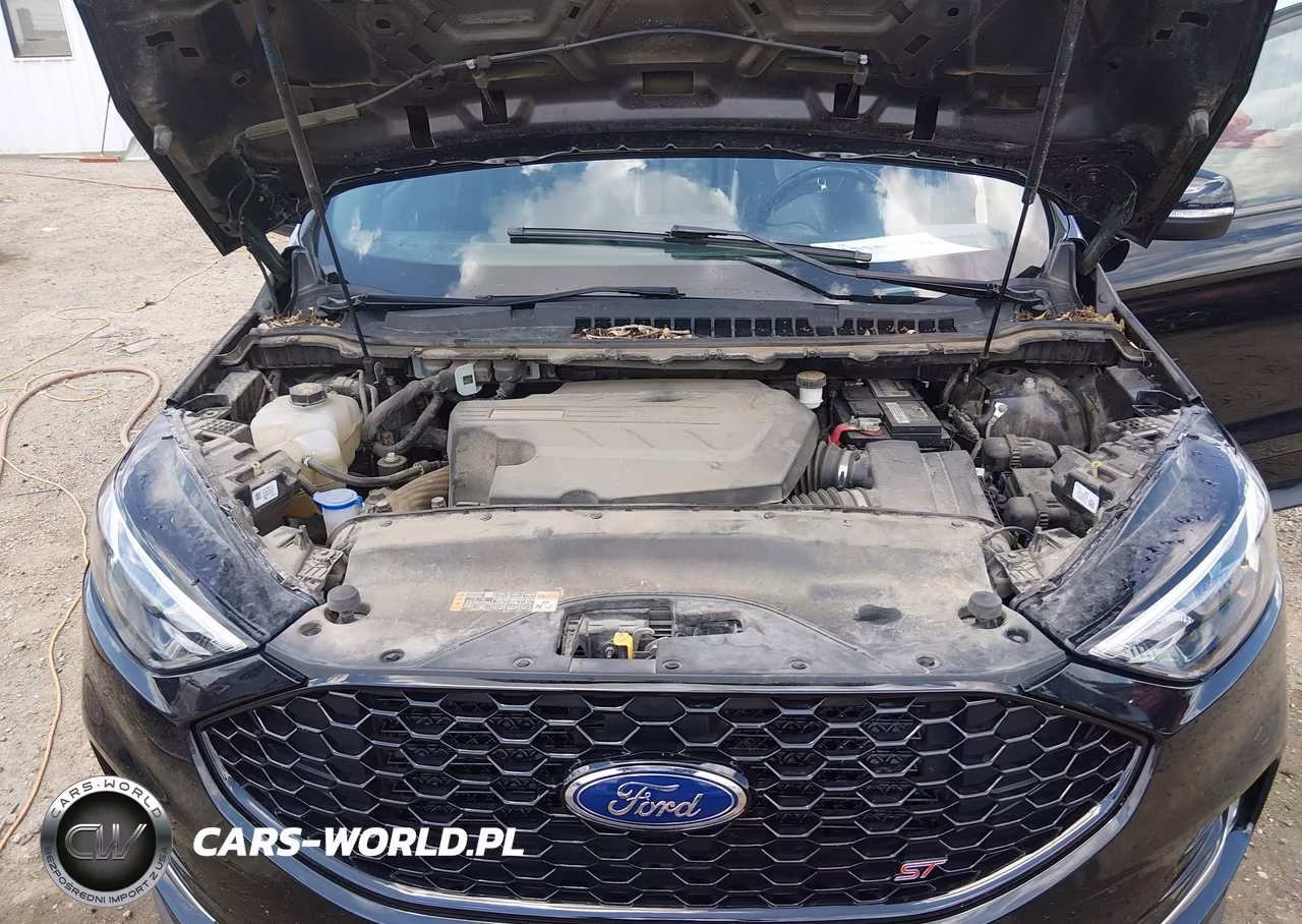 2020 Ford Edge St VIN:2FMPK4AP1LBB31917 - 10