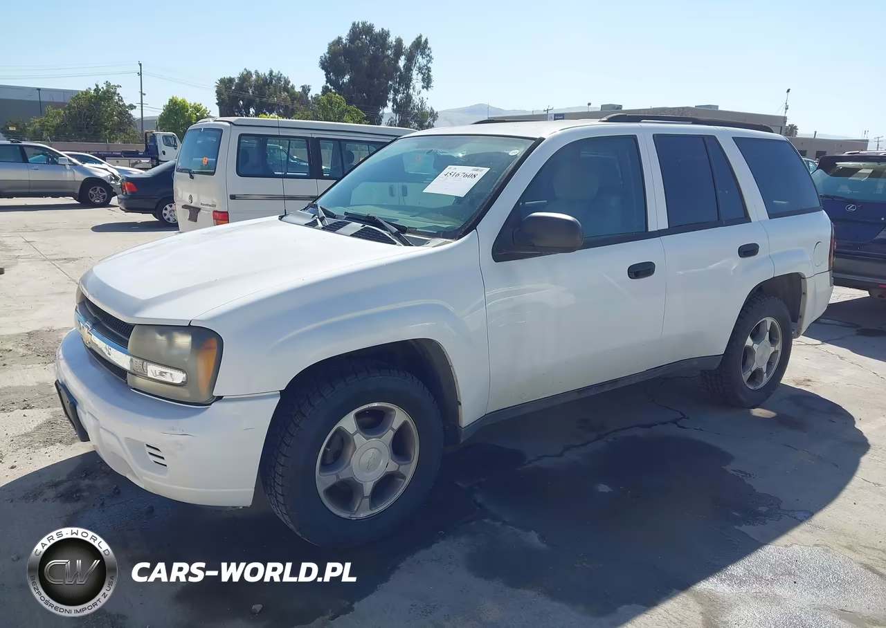 2008 Chevrolet Trailblazer Fleet VIN:1GNDT13S582235433 - 2
