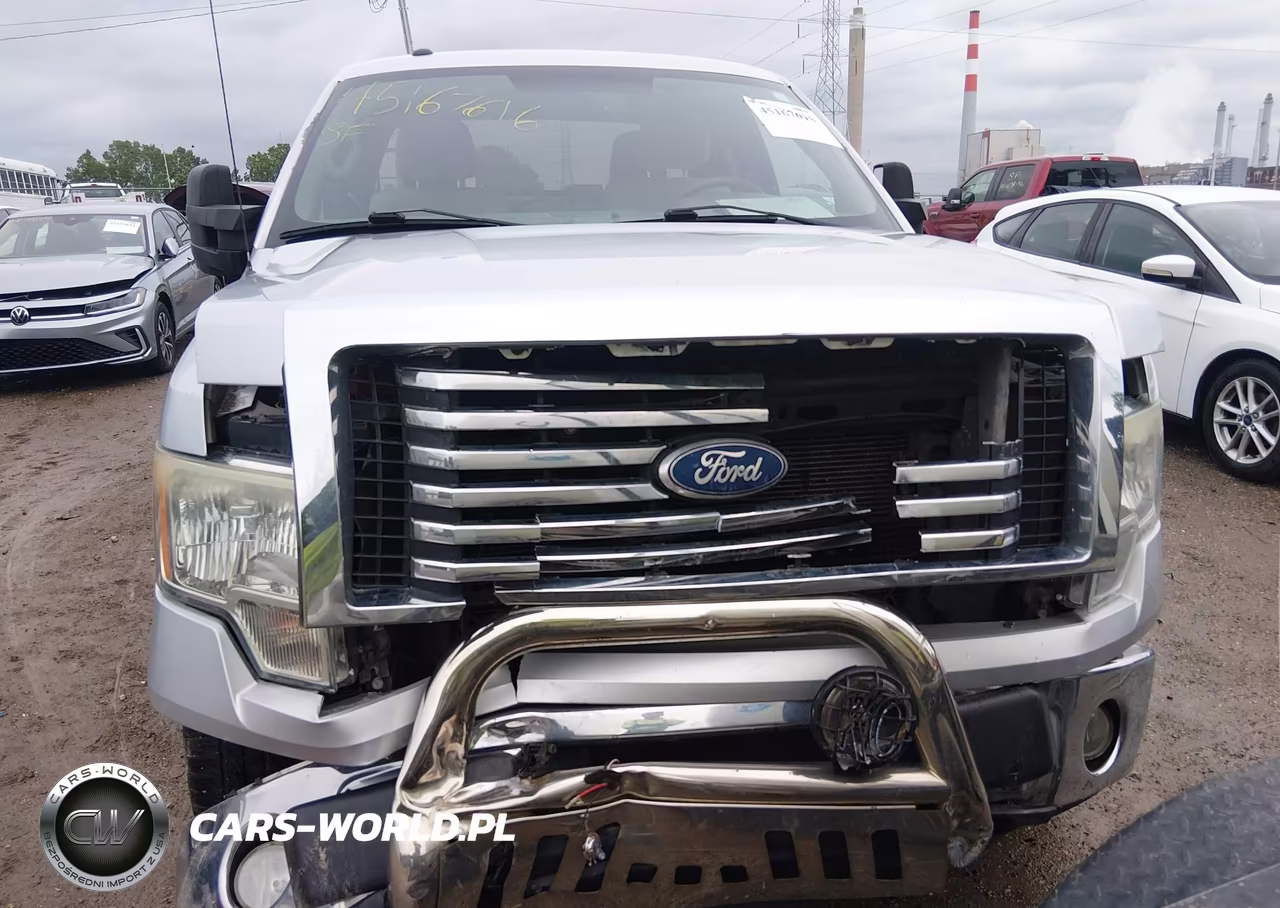 2010 Ford F-150 Fx4-Lariat-Xl-Xlt VIN:1FTFX1EV1AFD31412 - 12