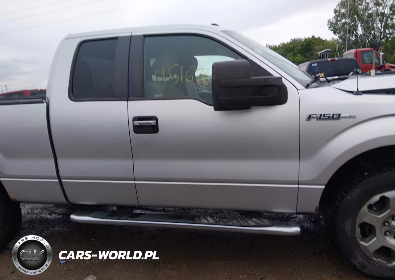 2010 Ford F-150 Fx4-Lariat-Xl-Xlt VIN:1FTFX1EV1AFD31412 - 13