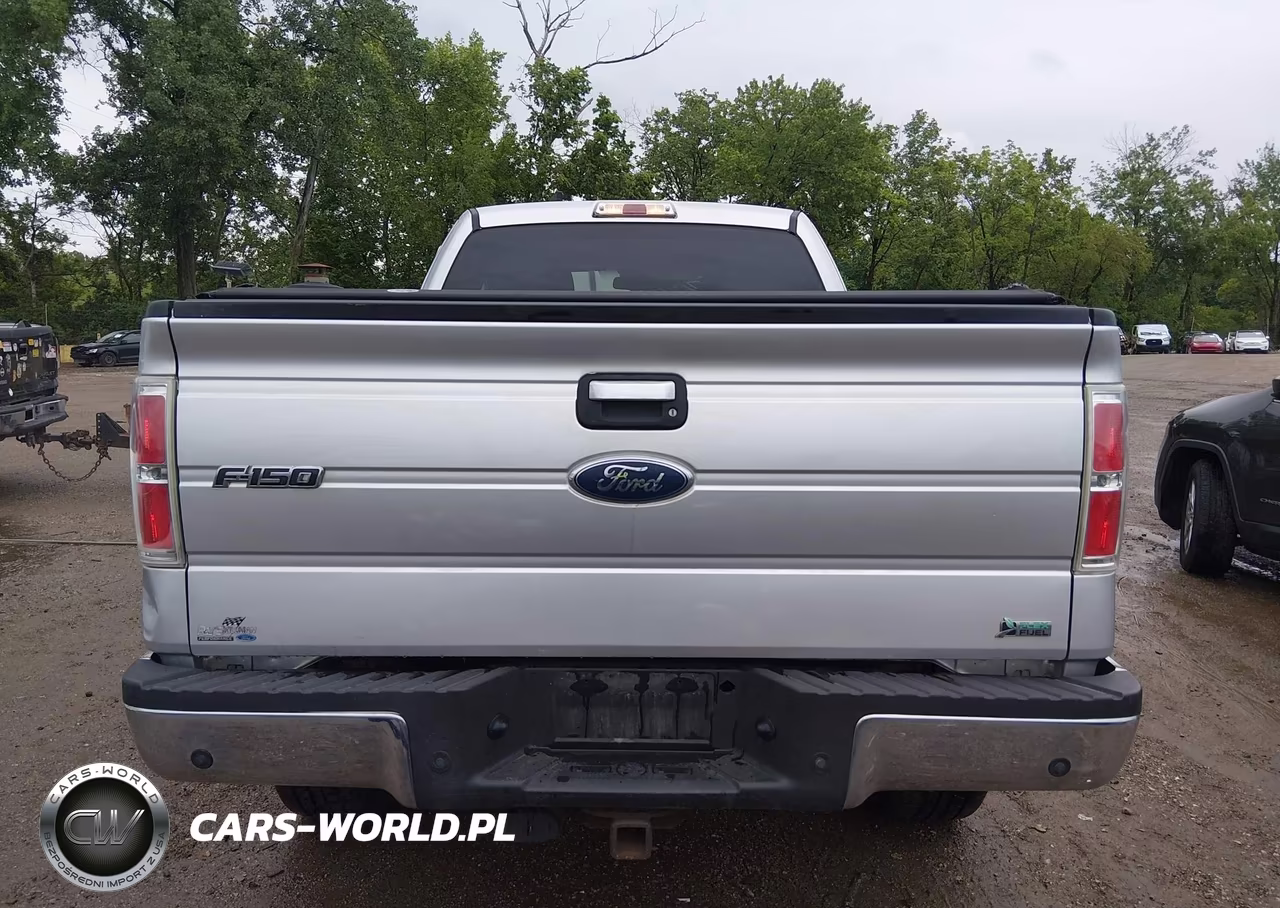 2010 Ford F-150 Fx4-Lariat-Xl-Xlt VIN:1FTFX1EV1AFD31412 - 16