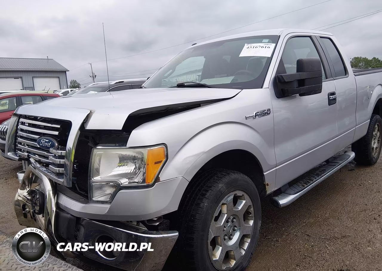 2010 Ford F-150 Fx4-Lariat-Xl-Xlt VIN:1FTFX1EV1AFD31412 - 2