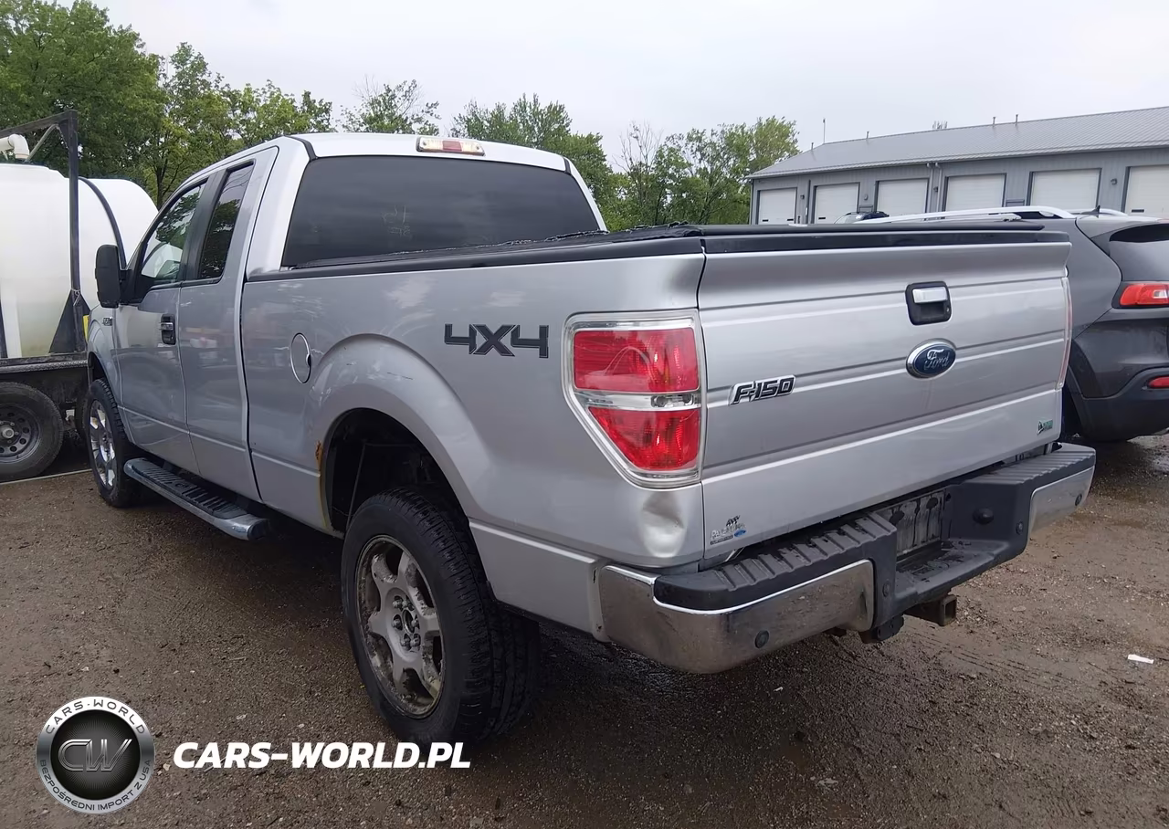 2010 Ford F-150 Fx4-Lariat-Xl-Xlt VIN:1FTFX1EV1AFD31412 - 3