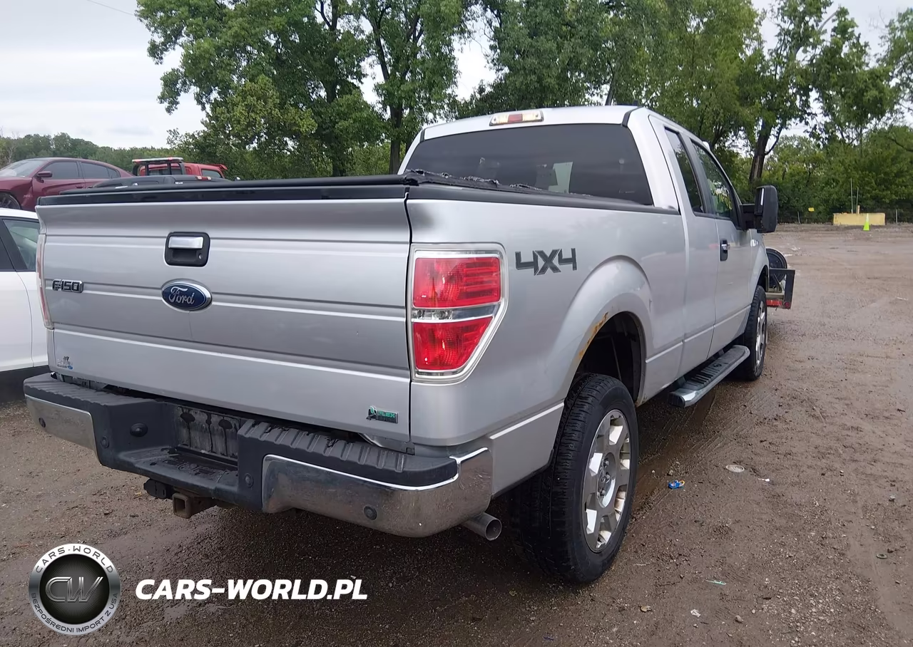 2010 Ford F-150 Fx4-Lariat-Xl-Xlt VIN:1FTFX1EV1AFD31412 - 4