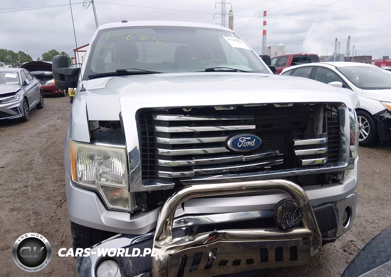 2010 Ford F-150 Fx4-Lariat-Xl-Xlt VIN:1FTFX1EV1AFD31412 - 6