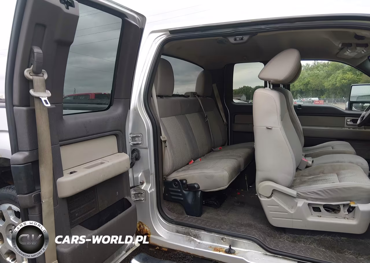 2010 Ford F-150 Fx4-Lariat-Xl-Xlt VIN:1FTFX1EV1AFD31412 - 8