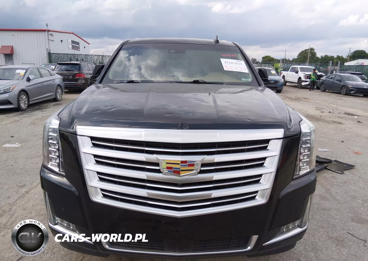 2016 Cadillac Escalade Platinum VIN:1GYS4DKJ2GR287285 - 12
