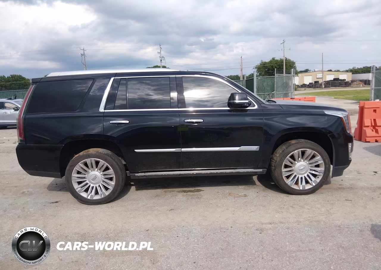 2016 Cadillac Escalade Platinum VIN:1GYS4DKJ2GR287285 - 13