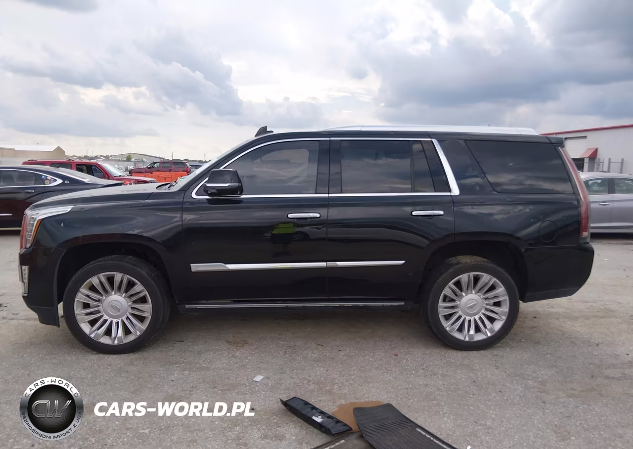 2016 Cadillac Escalade Platinum VIN:1GYS4DKJ2GR287285 - 14