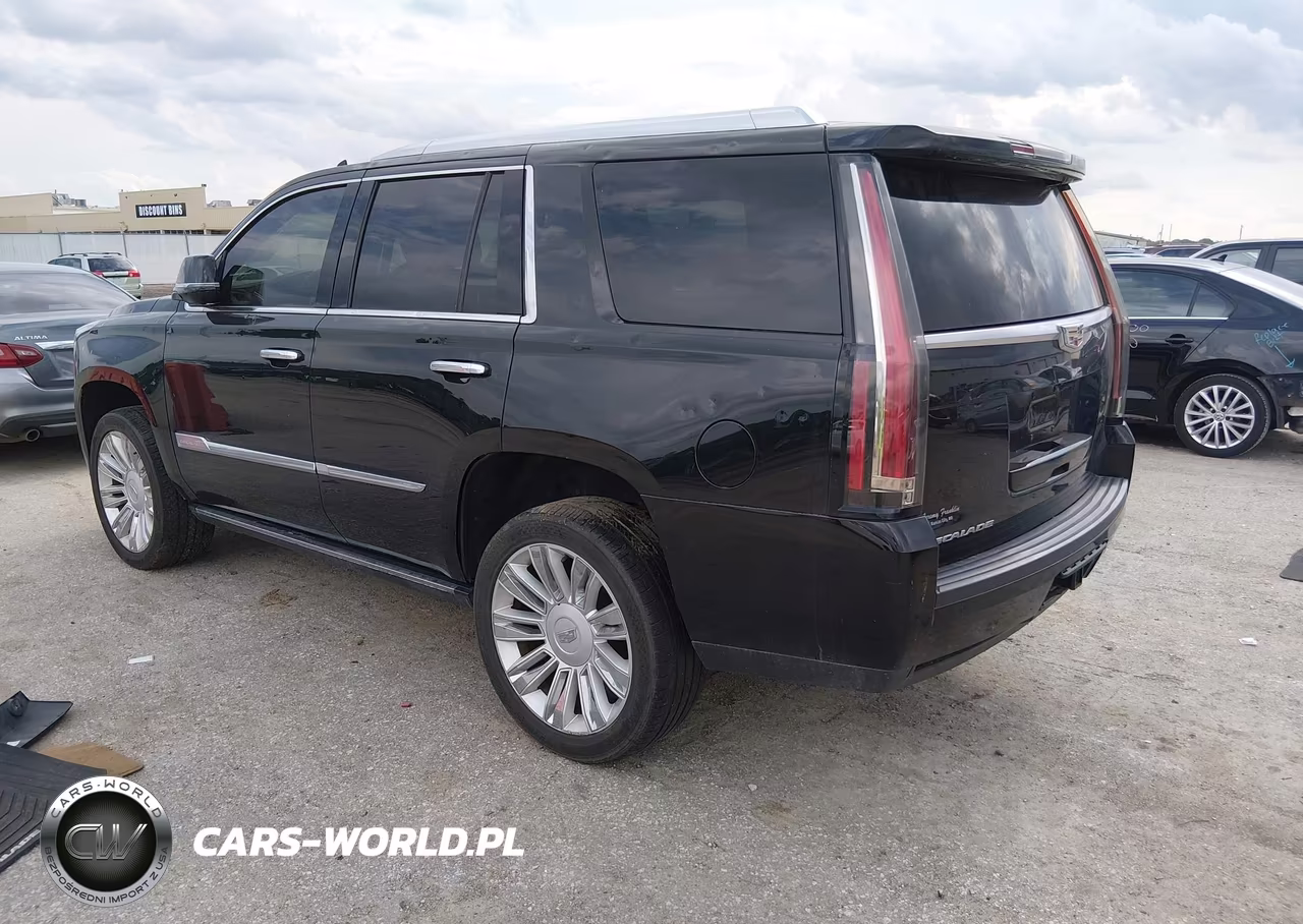2016 Cadillac Escalade Platinum VIN:1GYS4DKJ2GR287285 - 3