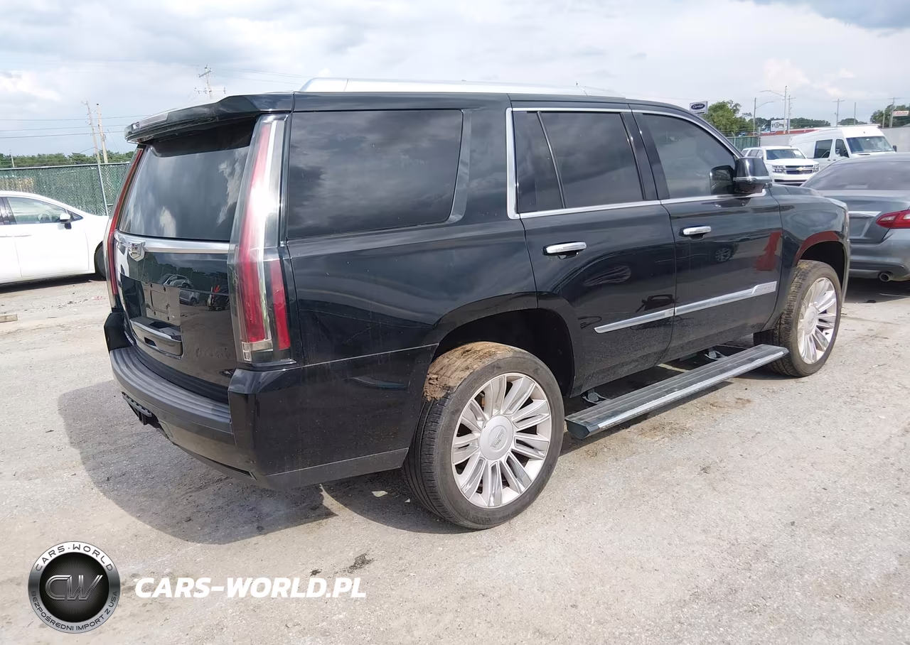 2016 Cadillac Escalade Platinum VIN:1GYS4DKJ2GR287285 - 4
