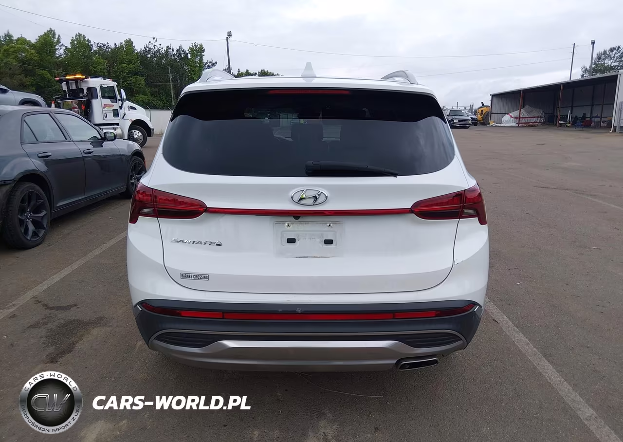 2022 Hyundai Santa Fe Sel VIN:5NMS24AJ1NH434923 - 17