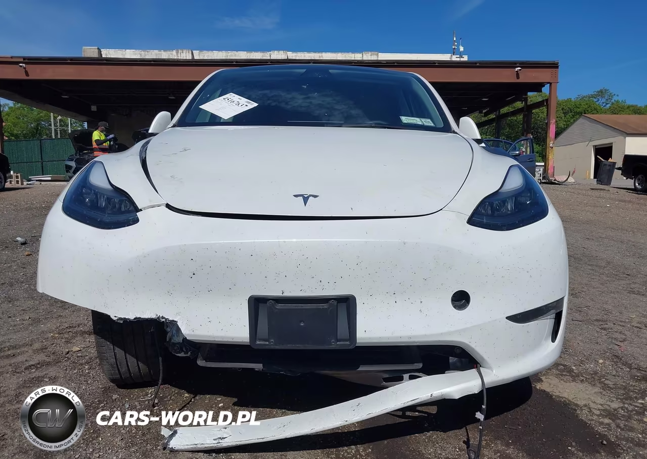 2023 Tesla Model Y Rwd VIN:7SAYGDED1PF915696 - 10