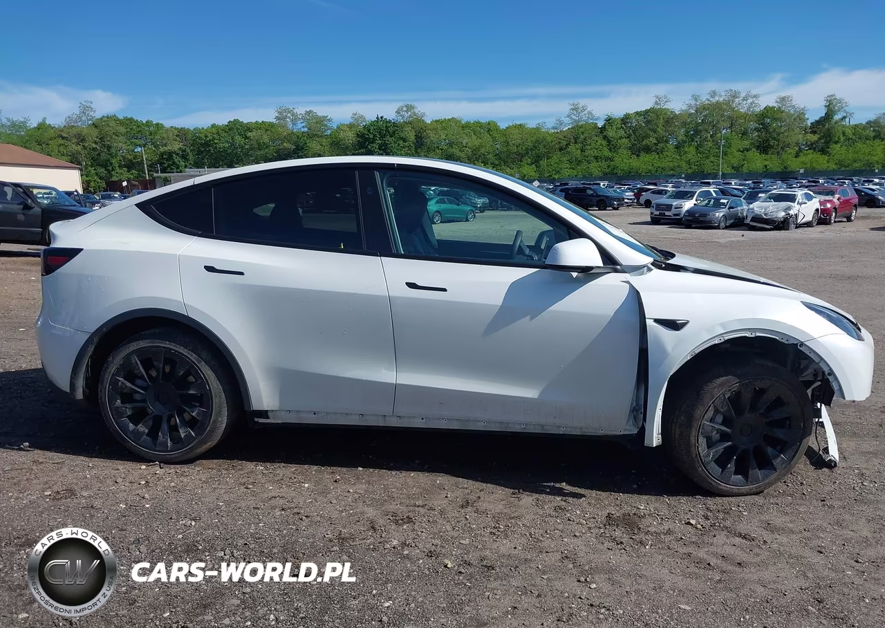 2023 Tesla Model Y Rwd VIN:7SAYGDED1PF915696 - 11