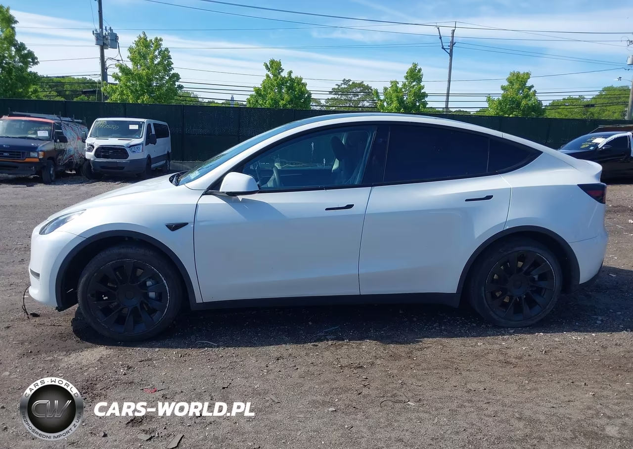 2023 Tesla Model Y Rwd VIN:7SAYGDED1PF915696 - 12