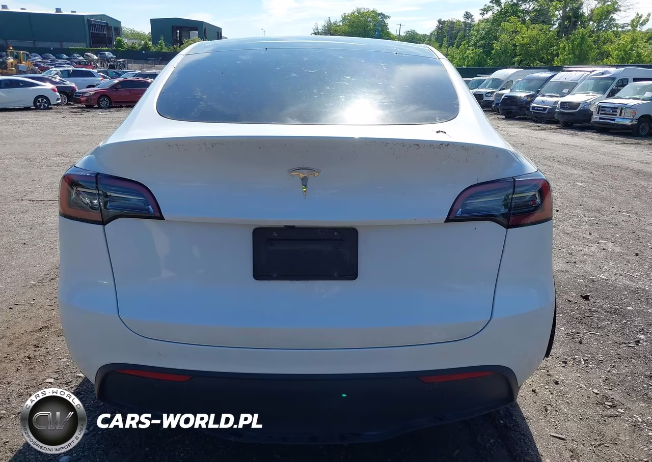 2023 Tesla Model Y Rwd VIN:7SAYGDED1PF915696 - 14