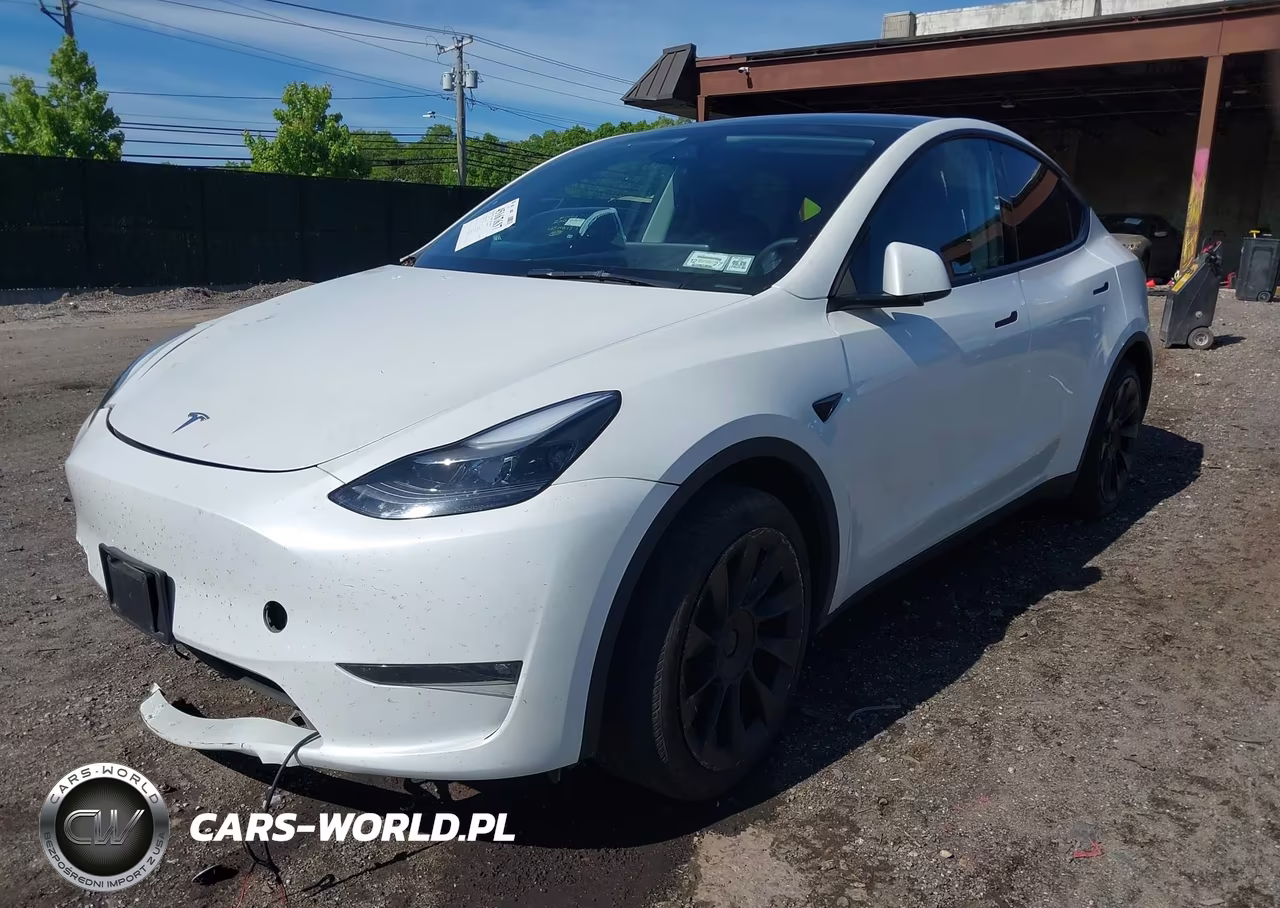 2023 Tesla Model Y Rwd VIN:7SAYGDED1PF915696 - 2