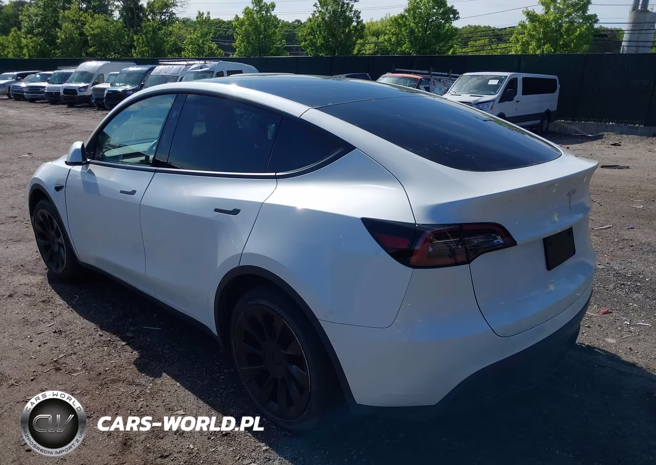2023 Tesla Model Y Rwd VIN:7SAYGDED1PF915696 - 3