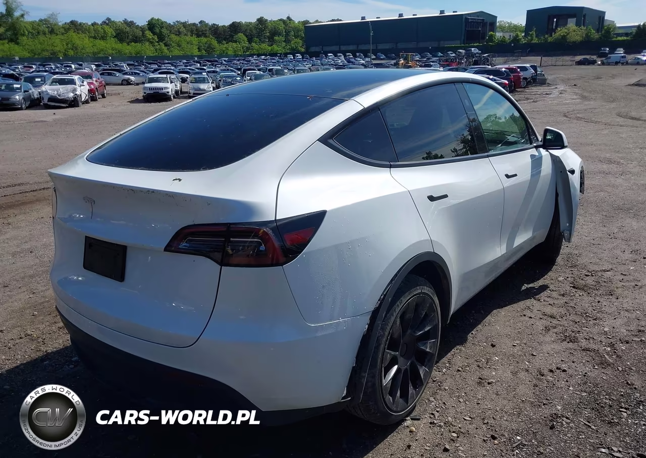 2023 Tesla Model Y Rwd VIN:7SAYGDED1PF915696 - 4