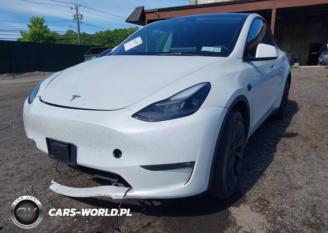 2023 Tesla Model Y Rwd VIN:7SAYGDED1PF915696 - 6