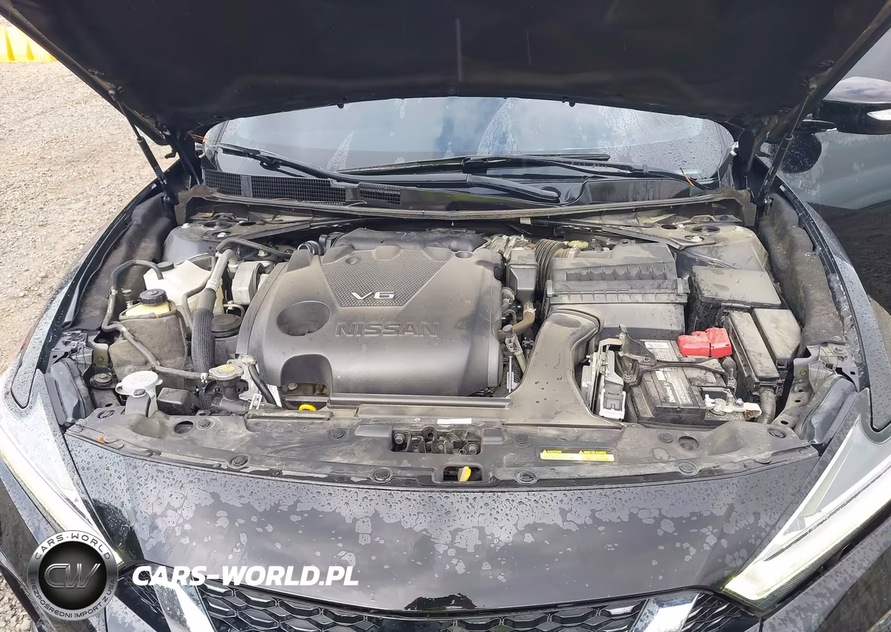 2020 Nissan Maxima Sl Xtronic Cvt VIN:1N4AA6DV6LC373787 - 10