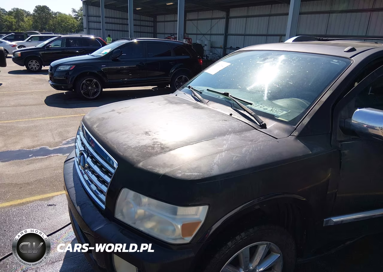 2009 Infiniti Qx56 VIN:5N3AA08D89N903430 - 6