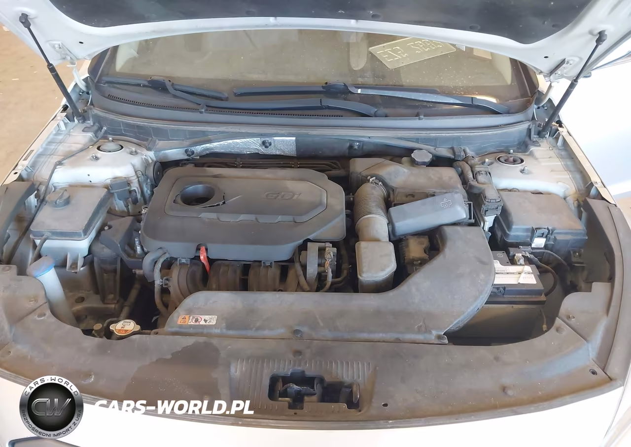 2017 Hyundai Sonata Sport VIN:5NPE34AF2HH498952 - 10