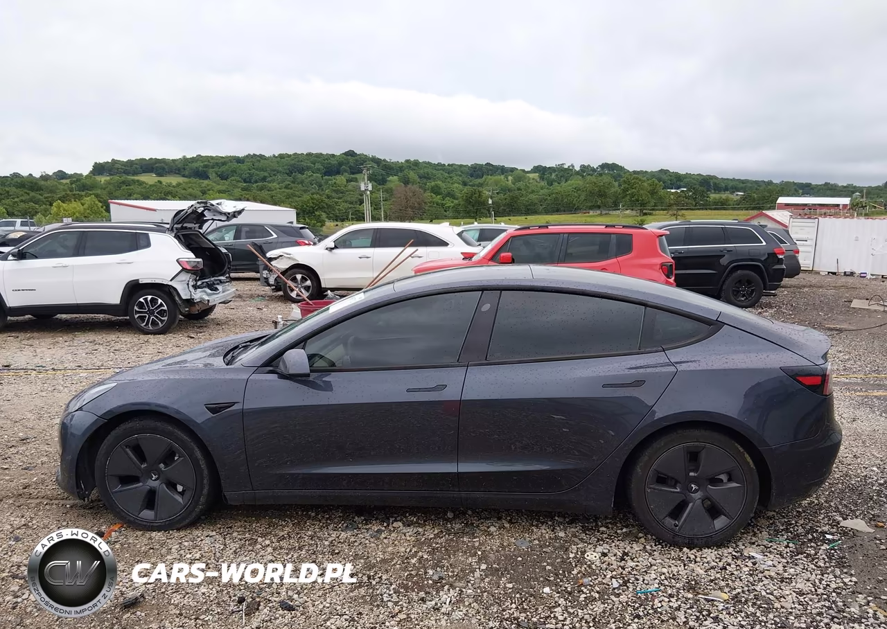 2021 Tesla Model 3 Standard Range Plus Rear-Wheel Drive VIN:5YJ3E1EA1MF059913 - 14