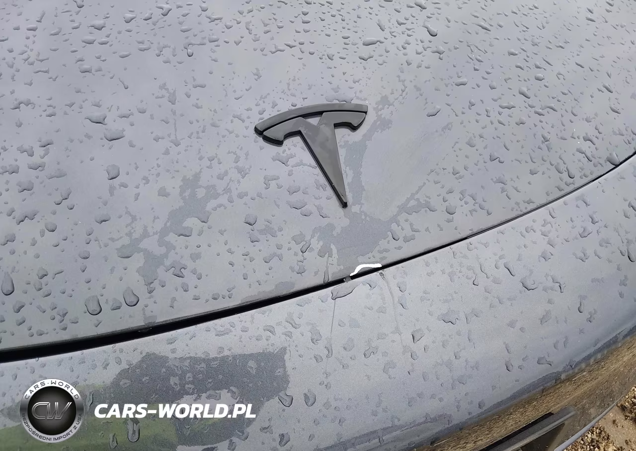 2021 Tesla Model 3 Standard Range Plus Rear-Wheel Drive VIN:5YJ3E1EA1MF059913 - 6