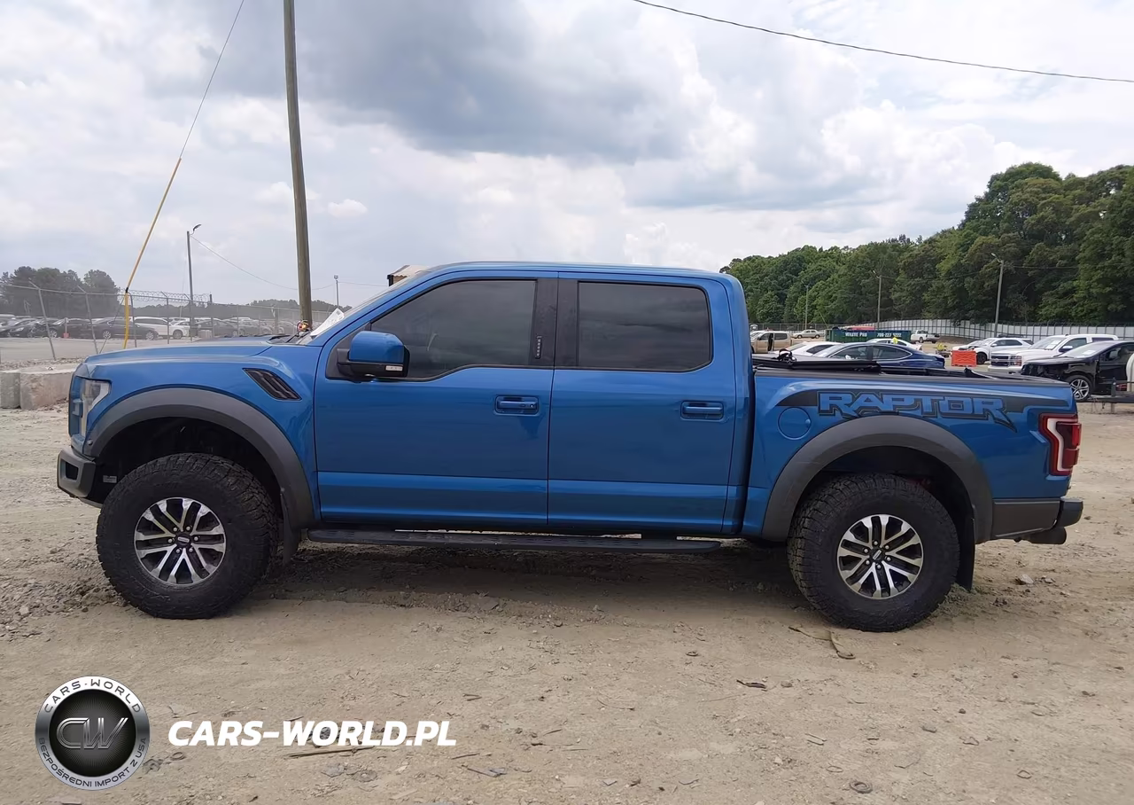 2019 Ford F-150 Raptor VIN:1FTFW1RG5KFA62332 - 15