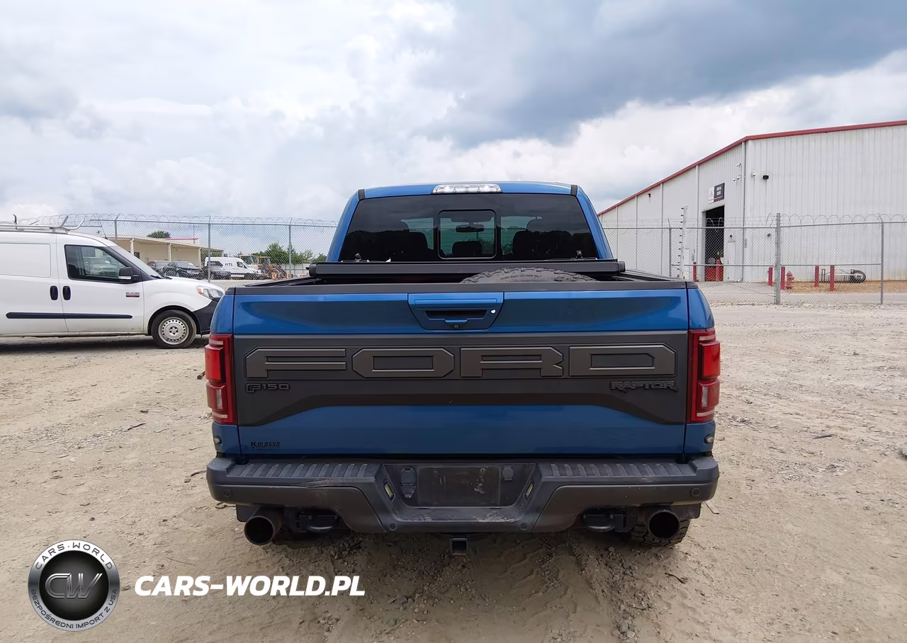 2019 Ford F-150 Raptor VIN:1FTFW1RG5KFA62332 - 17