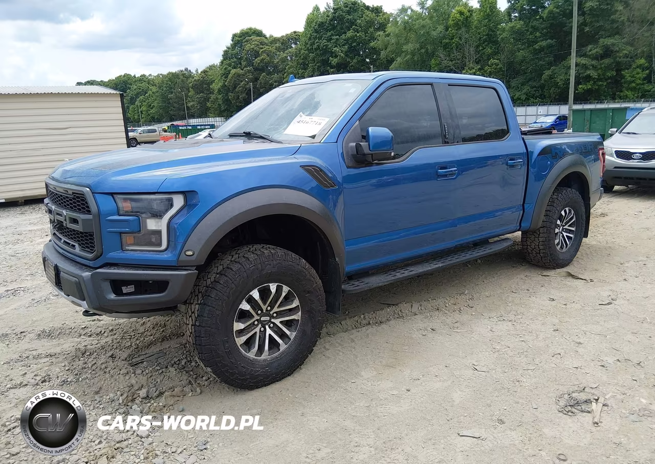 2019 Ford F-150 Raptor VIN:1FTFW1RG5KFA62332 - 2