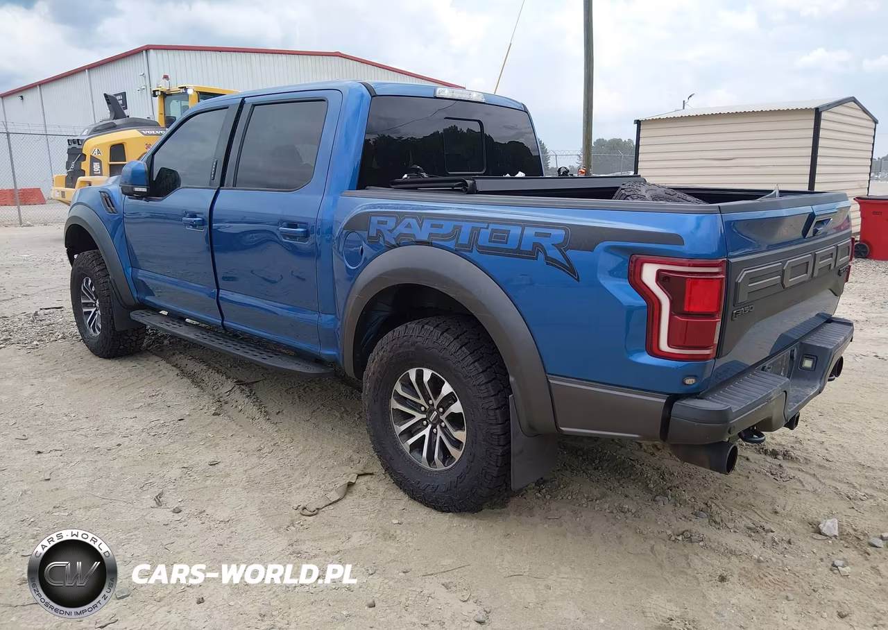 2019 Ford F-150 Raptor VIN:1FTFW1RG5KFA62332 - 3