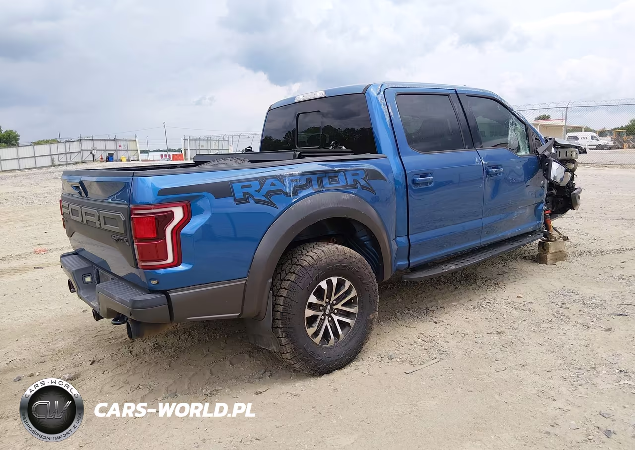 2019 Ford F-150 Raptor VIN:1FTFW1RG5KFA62332 - 4