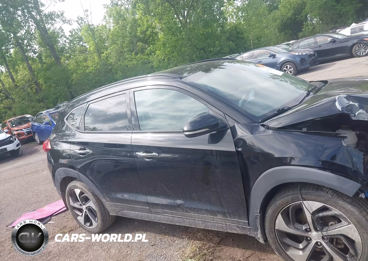 2016 Hyundai Tucson Limited VIN:KM8J3CA28GU128448 - 12