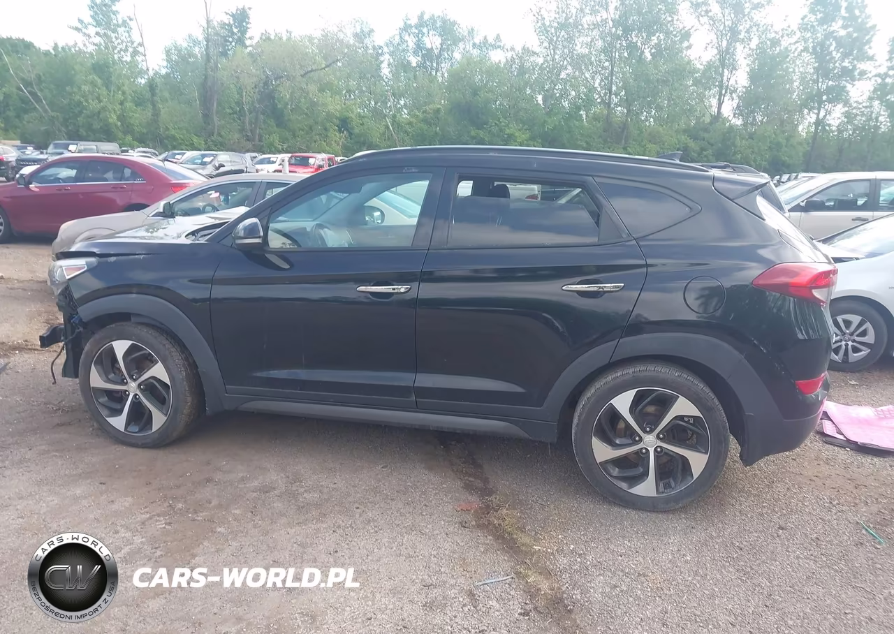 2016 Hyundai Tucson Limited VIN:KM8J3CA28GU128448 - 13