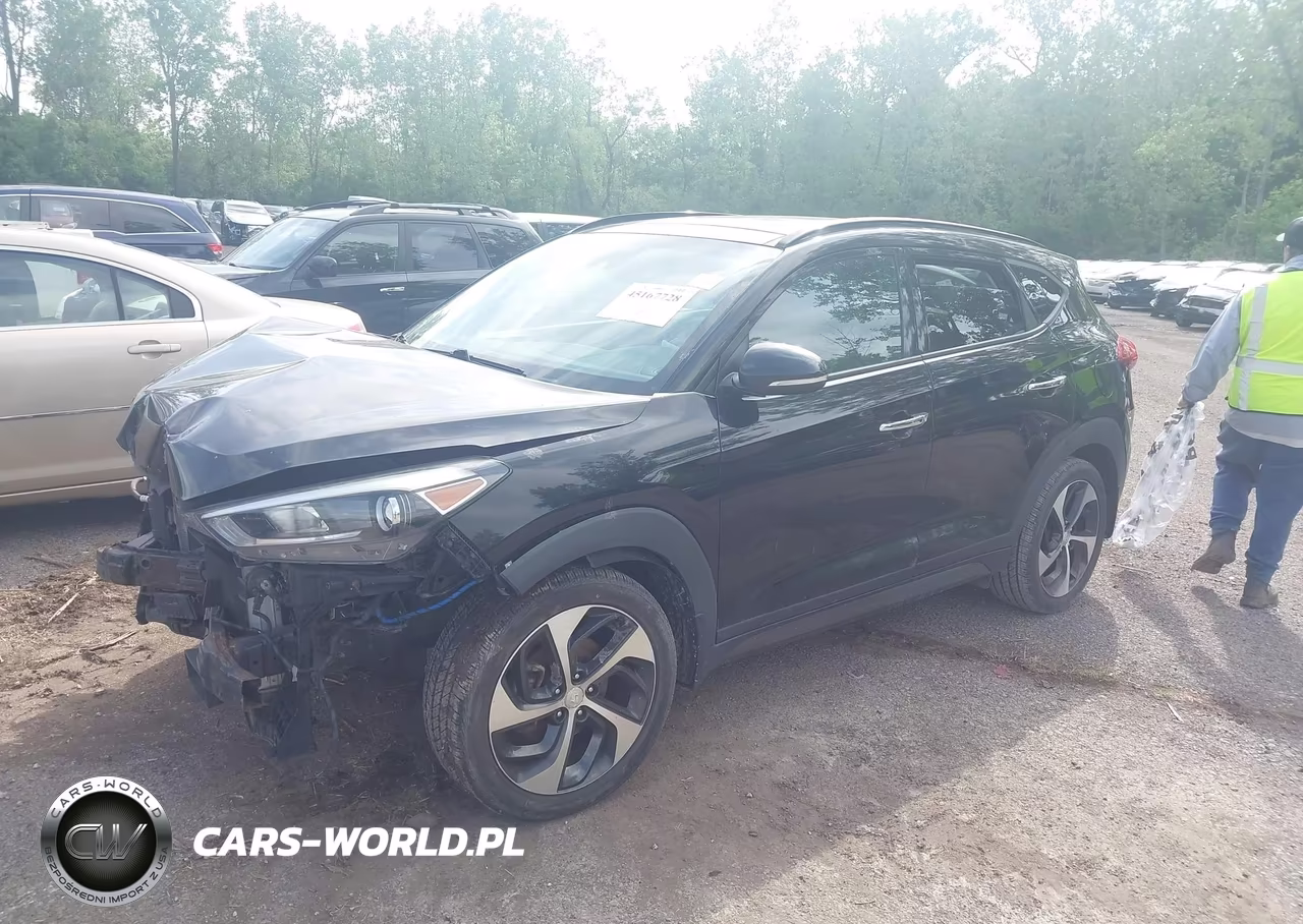 2016 Hyundai Tucson Limited VIN:KM8J3CA28GU128448 - 2