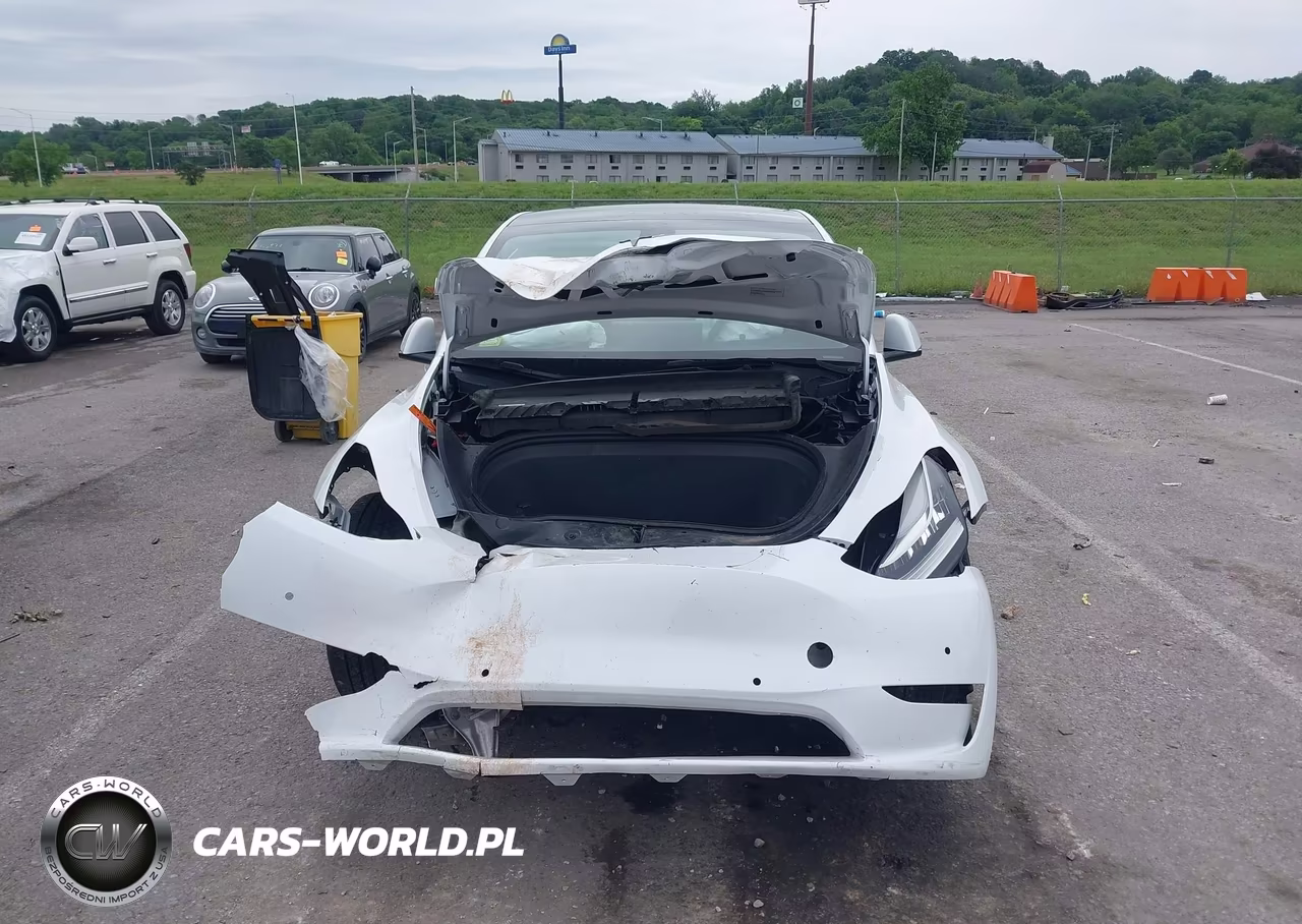 2022 Tesla Model Y Long Range Dual Motor All-Wheel Drive VIN:7SAYGDEE0NF316052 - 11