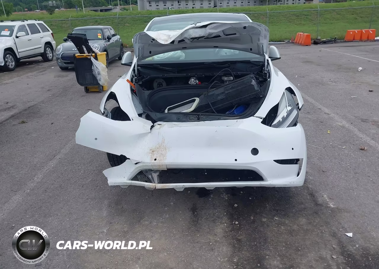 2022 Tesla Model Y Long Range Dual Motor All-Wheel Drive VIN:7SAYGDEE0NF316052 - 6