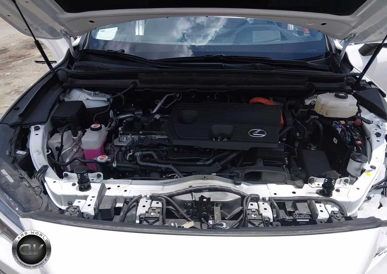 2024 Lexus Rx 350H Premium Plus VIN:2T2BBMCA9RC049131 - 10