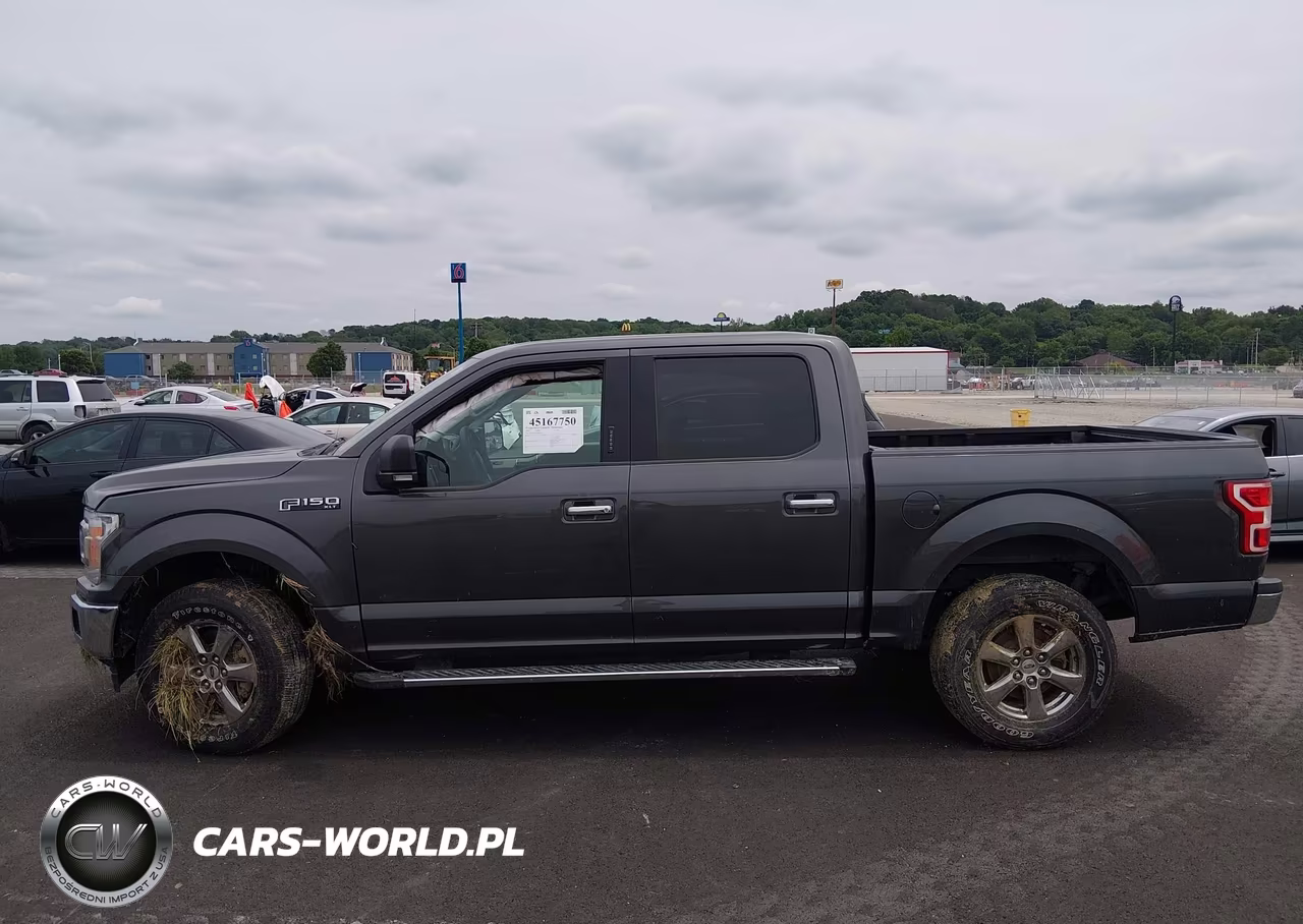 2020 Ford F-150 Xlt VIN:1FTEW1EP3LKD96479 - 14