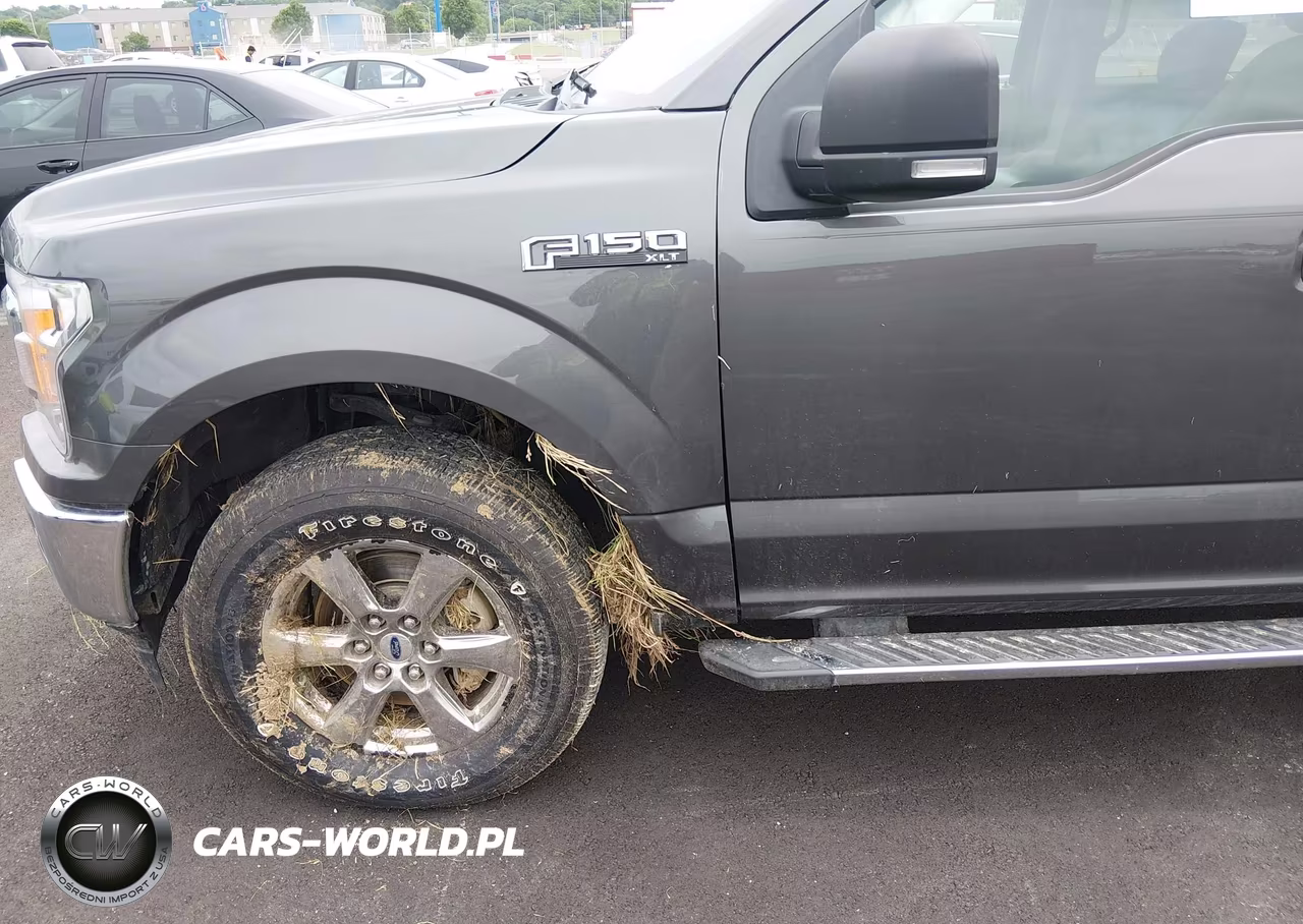 2020 Ford F-150 Xlt VIN:1FTEW1EP3LKD96479 - 6