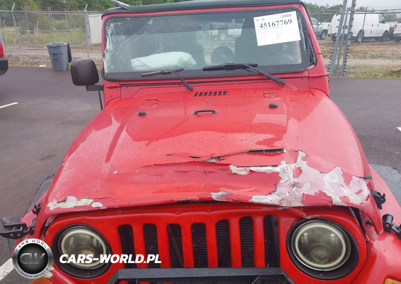 2004 Jeep Wrangler X VIN:1J4FA39S94P716500 - 10