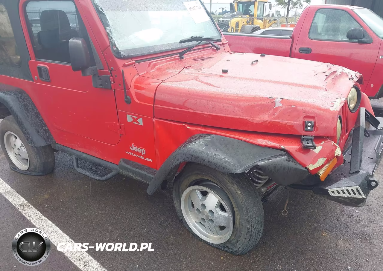 2004 Jeep Wrangler X VIN:1J4FA39S94P716500 - 13